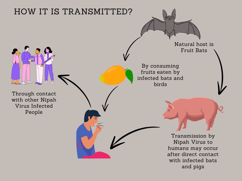 c-users-admin-appdata-local-packages-microsoft-wi-42