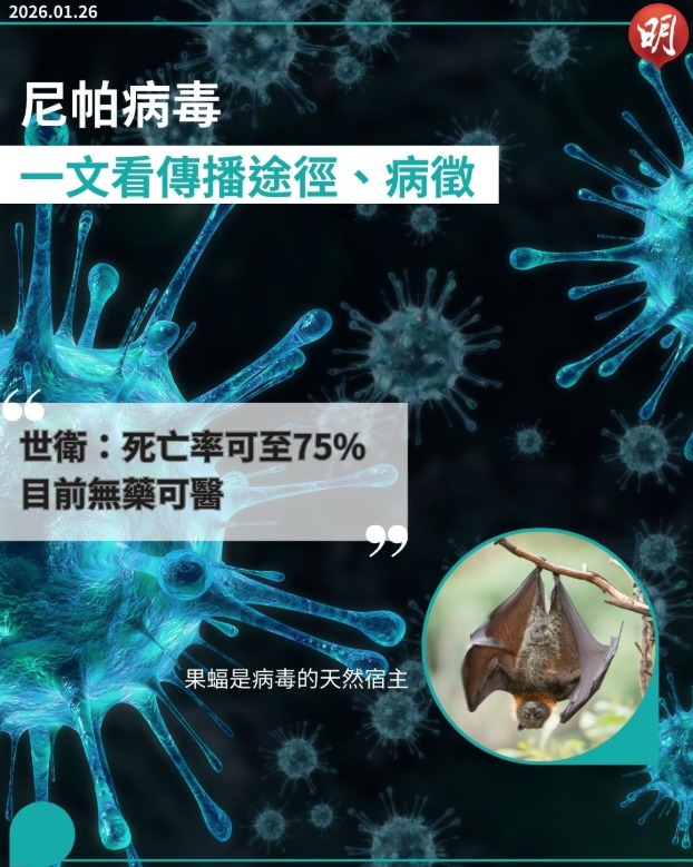 屏幕截图 2026-01-26 231851